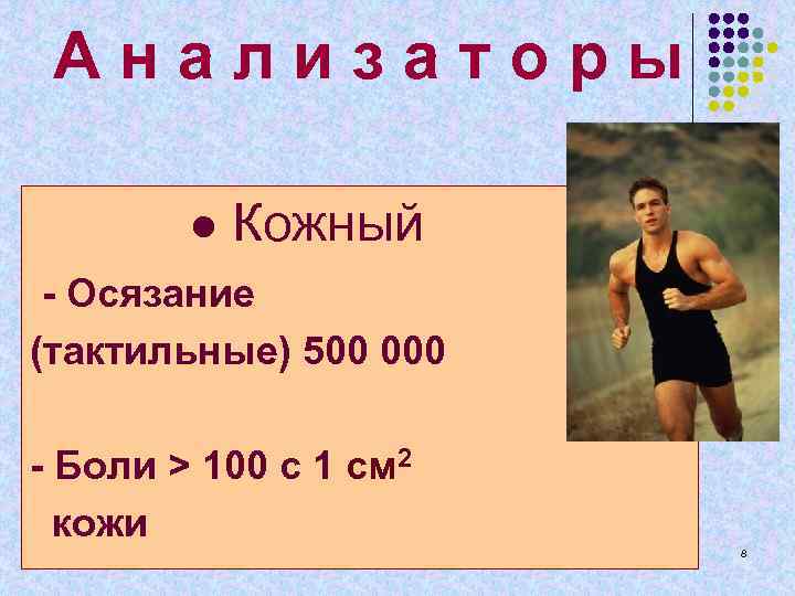 А н а л и з а т о р ы ● Кожный -