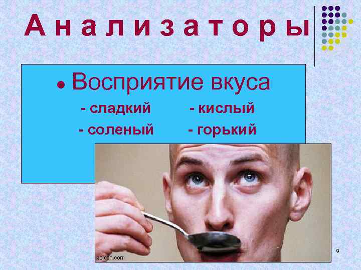 А н а л и з а т о р ы ● Восприятие вкуса