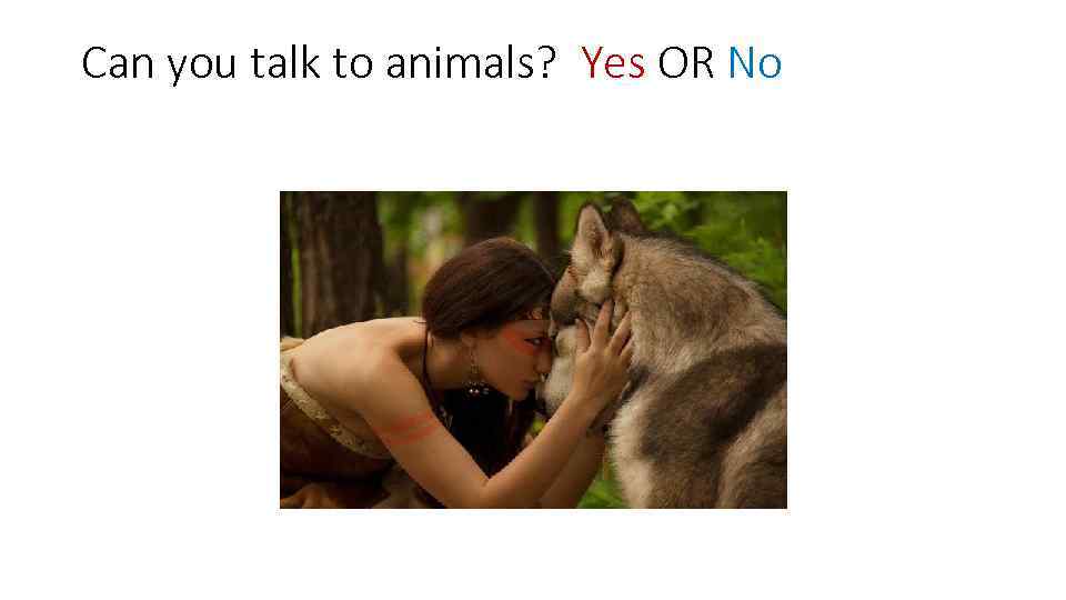 Can you talk to animals? Yes OR No 