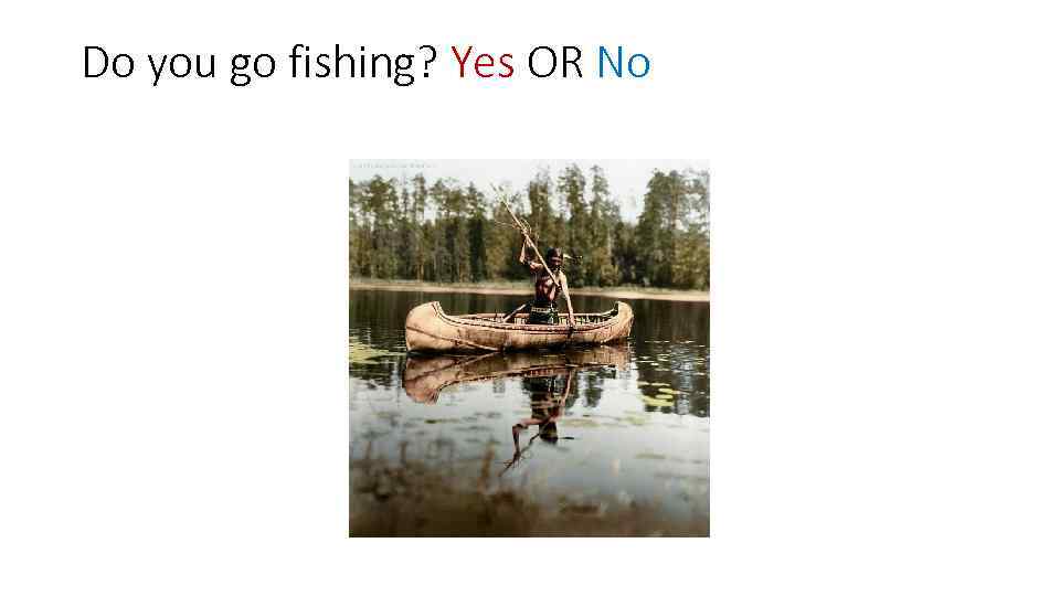 Do you go fishing? Yes OR No 