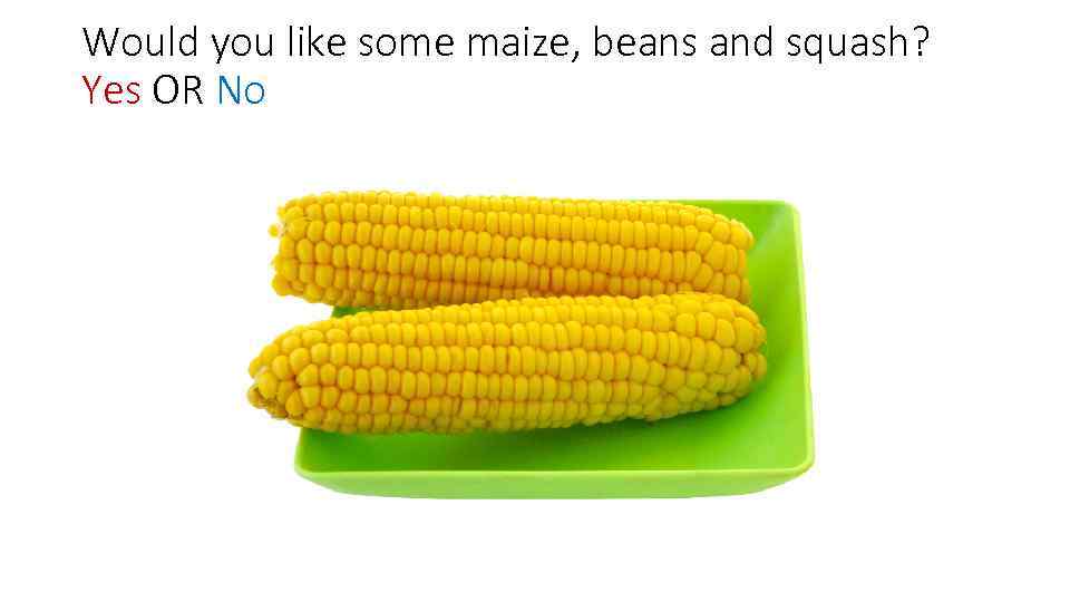 Would you like some maize, beans and squash? Yes OR No 