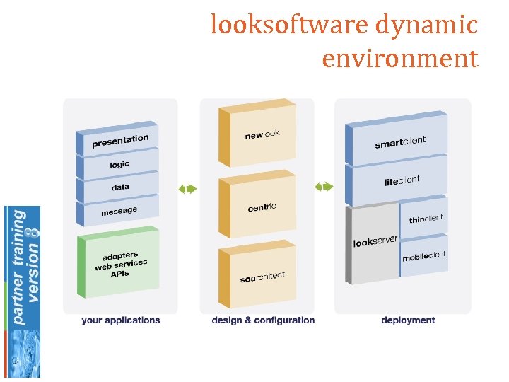 looksoftware dynamic environment 