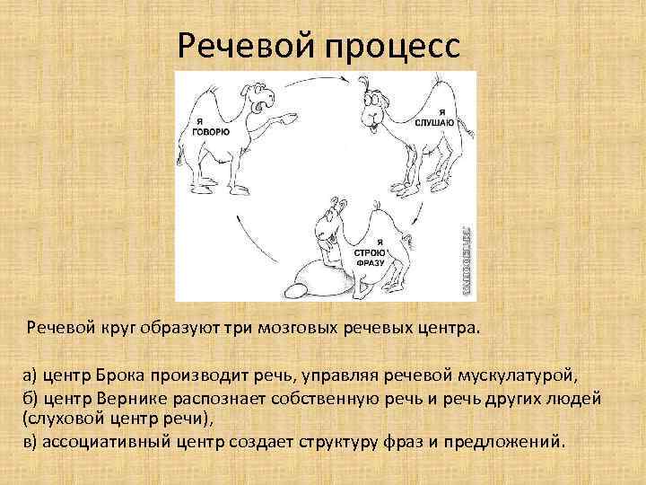 Речь это процесс. Речевые процессы. Речь и речевые процессы. Схема речевого процесса. Речевые процессы:речевые процессы.