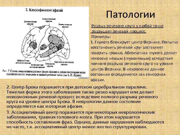 Патологии Разрыв речевого круга в любой точке разрушает речевой процесс. Примеры: 1. Глухота блокирует