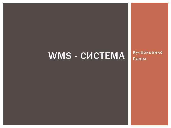 WMS - СИСТЕМА Кучерявенко Павел 