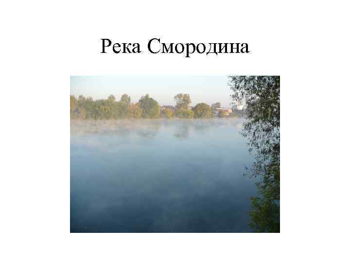Река Смородина 