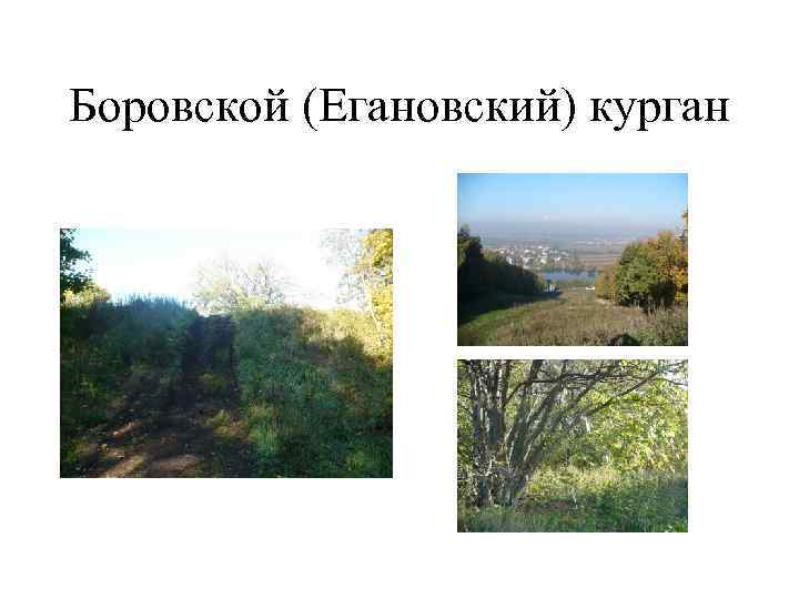 Боровской (Егановский) курган 