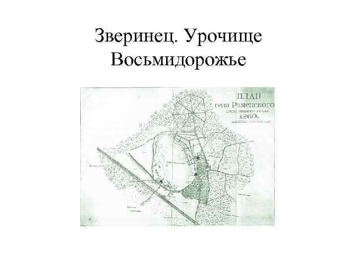 Зверинец. Урочище Восьмидорожье 