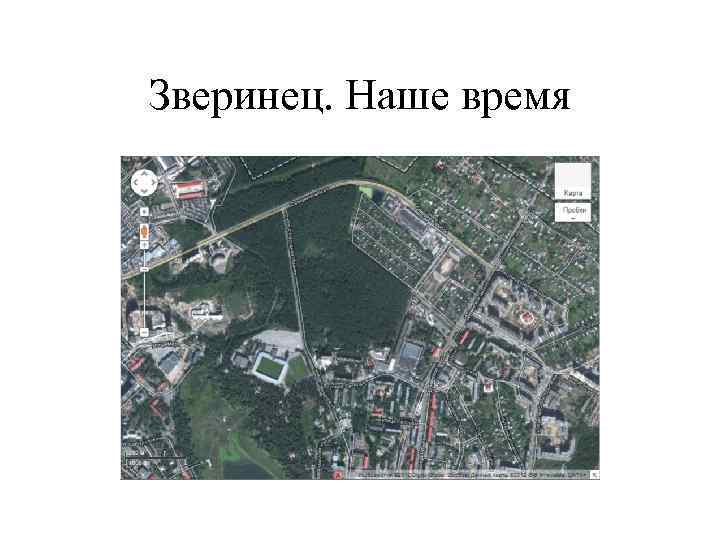 Зверинец. Наше время 