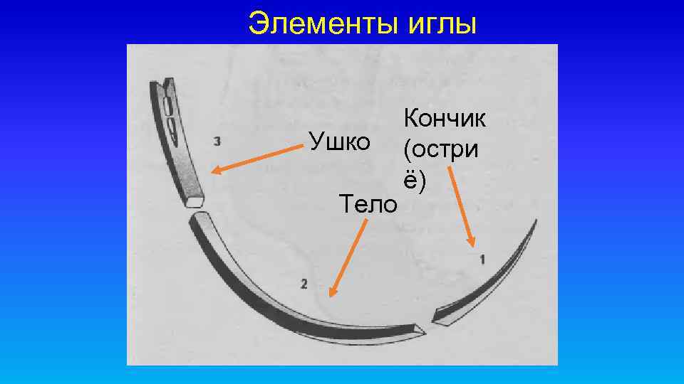 Элементы иглы Ушко Тело Кончик (остри ё) 