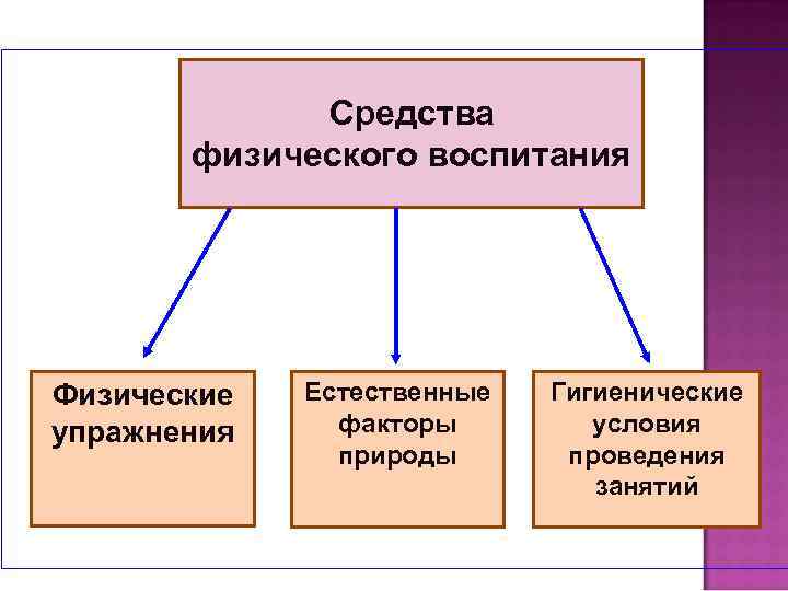 Средства физического воспитания Физические упражнения Естественные факторы природы Гигиенические условия проведения занятий 