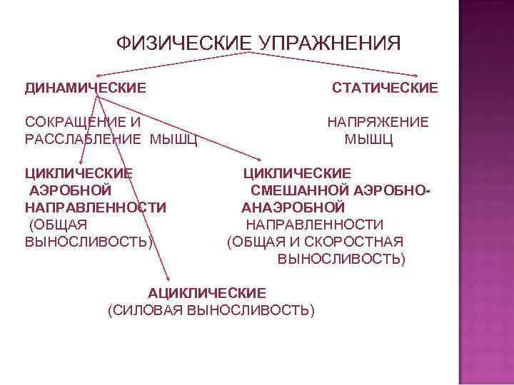 ФИЗИЧЕСКИЕ УПРАЖНЕНИЯ ДИНАМИЧЕСКИЕ СТАТИЧЕСКИЕ СОКРАЩЕНИЕ И РАССЛАБЛЕНИЕ МЫШЦ ЦИКЛИЧЕСКИЕ АЭРОБНОЙ НАПРАВЛЕННОСТИ (ОБЩАЯ ВЫНОСЛИВОСТЬ) НАПРЯЖЕНИЕ