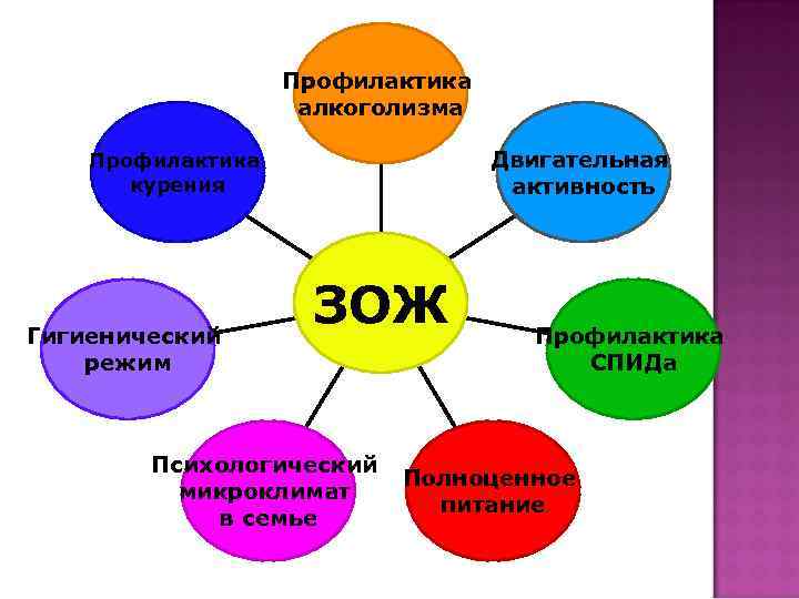 Профилактика алкоголизма Двигательная активность Профилактика курения Гигиенический режим ЗОЖ Психологический микроклимат в семье Профилактика