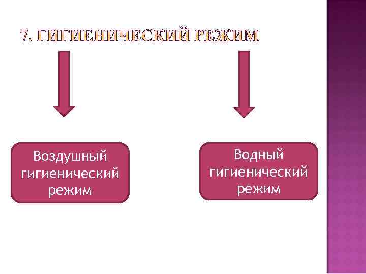 Воздушный гигиенический режим Водный гигиенический режим 