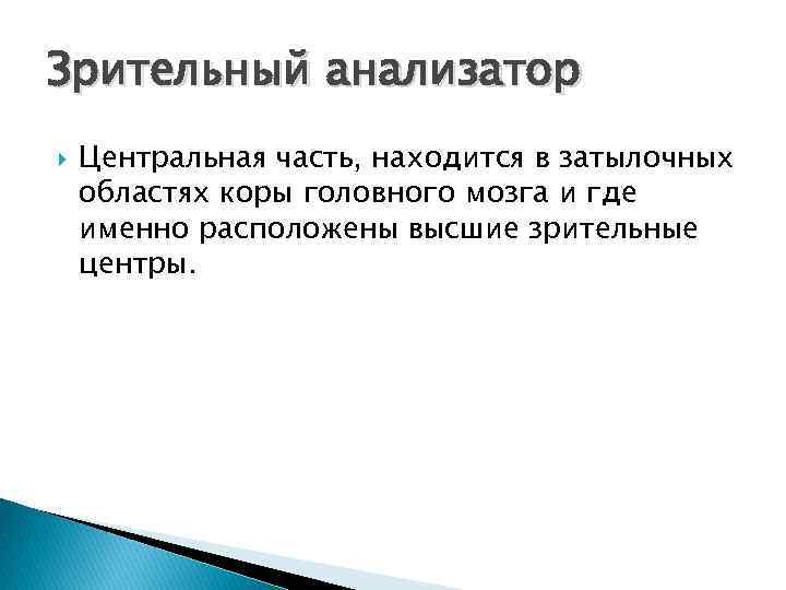 Зрительный анализатор Центральная часть, находится в затылочных областях коры головного мозга и где именно