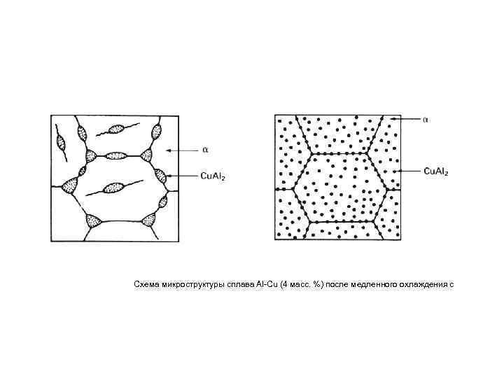 Схема микроструктуры сплава Al-Cu (4 масс. %) после медленного охлаждения с 
