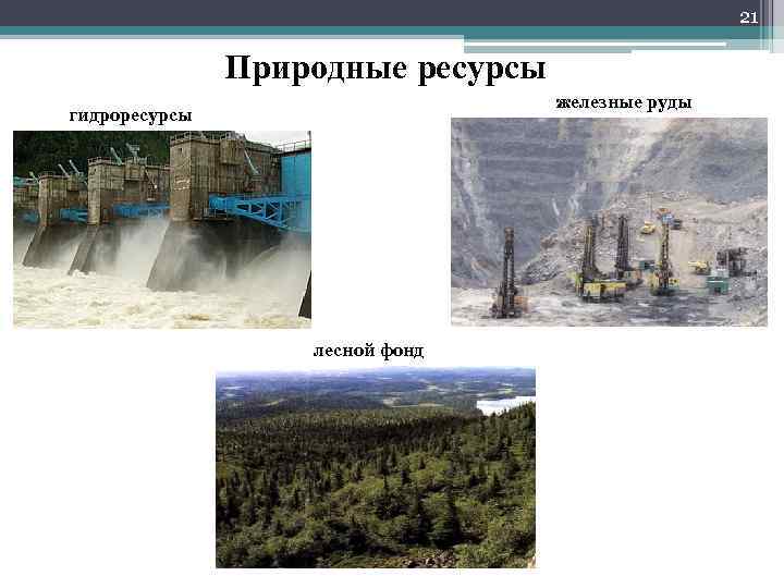21 Природные ресурсы железные руды гидроресурсы лесной фонд 