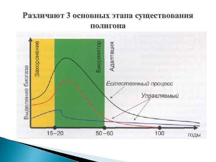 Различают 3 основных этапа существования полигона 