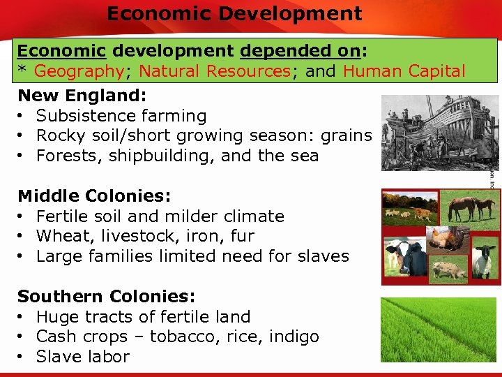 Economic Development TEKS 8 C: Calculate percent composition and empirical and molecular formulas. Economic