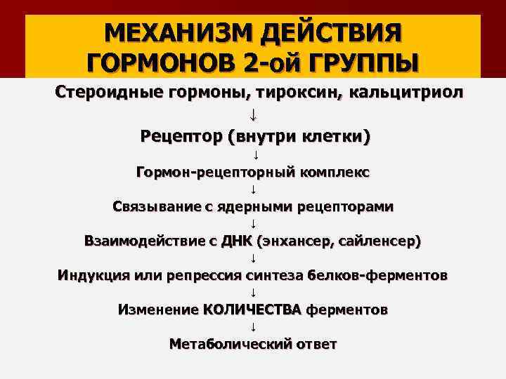 МЕХАНИЗМ ДЕЙСТВИЯ ГОРМОНОВ 2 -ой ГРУППЫ Стероидные гормоны, тироксин, кальцитриол ↓ Рецептор (внутри клетки)