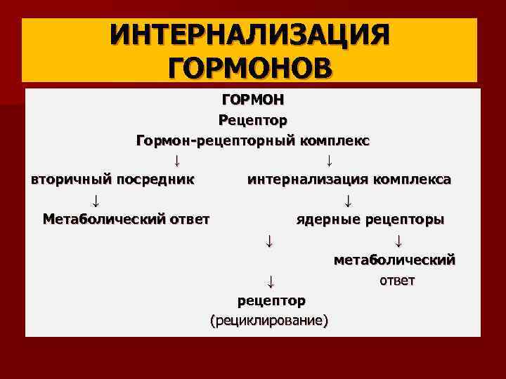 ИНТЕРНАЛИЗАЦИЯ ГОРМОНОВ ГОРМОН Рецептор Гормон-рецепторный комплекс ↓ ↓ вторичный посредник ↓ Метаболический ответ интернализация