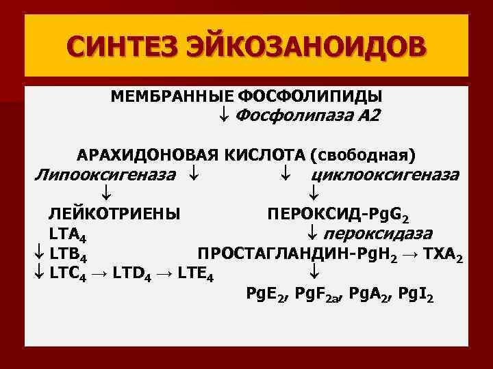 СИНТЕЗ ЭЙКОЗАНОИДОВ МЕМБРАННЫЕ ФОСФОЛИПИДЫ Фосфолипаза А 2 АРАХИДОНОВАЯ КИСЛОТА (свободная) Липооксигеназа циклооксигеназа ЛЕЙКОТРИЕНЫ ПЕРОКСИД-Рg.