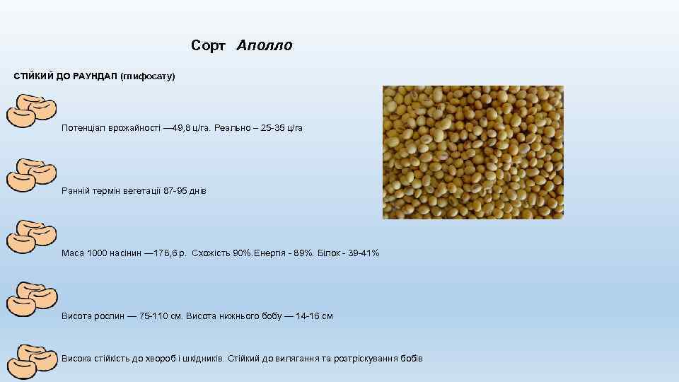 Сорт Аполло СТІЙКИЙ ДО РАУНДАП (глифосату) Потенціал врожайності — 49, 8 ц/га. Реально –