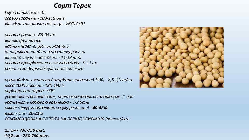  Сорт Терек Група стиглості - 0 середньоранній - 100 -110 днів кількість теплових