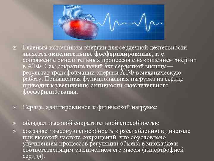 Механизмы приспособления к недостатку воды вида показанного на рисунке являются примером адаптации