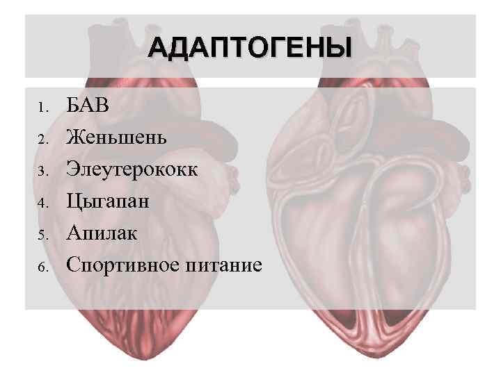 АДАПТОГЕНЫ 1. 2. 3. 4. 5. 6. БАВ Женьшень Элеутерококк Цыгапан Апилак Спортивное питание