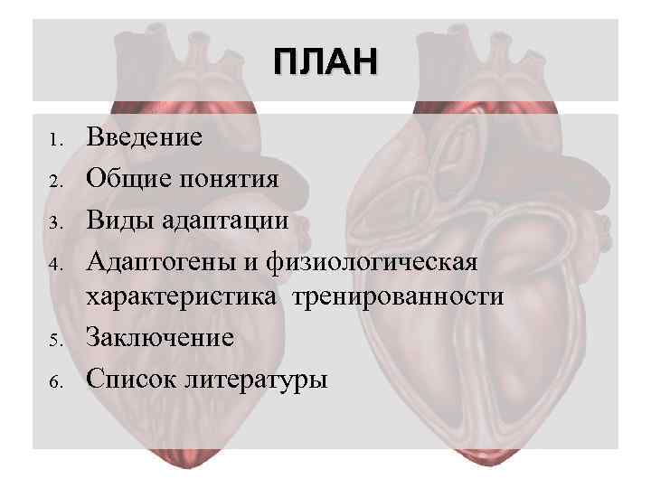 ПЛАН 1. 2. 3. 4. 5. 6. Введение Общие понятия Виды адаптации Адаптогены и