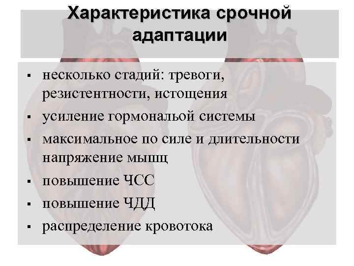 Характеристика срочной адаптации § § § несколько стадий: тревоги, резистентности, истощения усиление гормональой системы