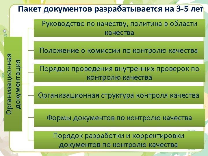 Пакет документов разрабатывается на 3 -5 лет Организационная документация Руководство по качеству, политика в