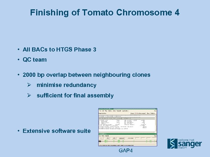 Finishing of Tomato Chromosome 4 • All BACs to HTGS Phase 3 • QC