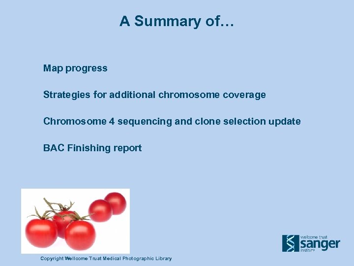 A Summary of… Map progress Strategies for additional chromosome coverage Chromosome 4 sequencing and
