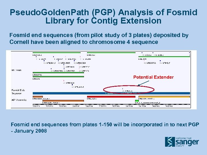 Pseudo. Golden. Path (PGP) Analysis of Fosmid Library for Contig Extension Fosmid end sequences