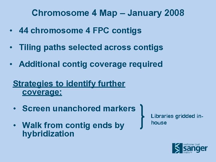 Chromosome 4 Map – January 2008 • 44 chromosome 4 FPC contigs • Tiling