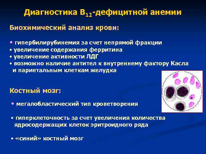 Диагностика В 12 дефицитной анемии Биохимический анализ крови: • гипербилирубинемия за счет непрямой фракции