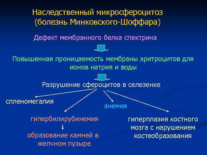 Наследственный микросфероцитоз (болезнь Минковского-Шоффара) Дефект мембранного белка спектрина Повышенная проницаемость мембраны эритроцитов для ионов