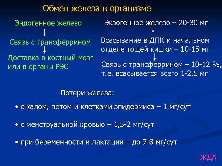 Обмен железа в организме Эндогенное железо Экзогенное железо – 20 -30 мг Связь с