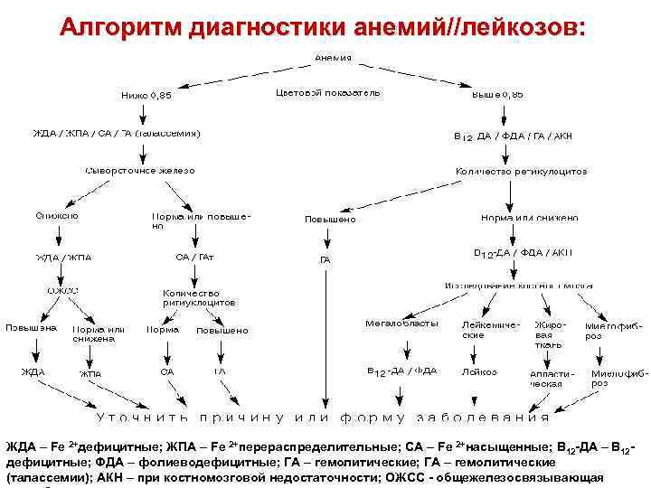 Железодефицитная анемия сестринская карта