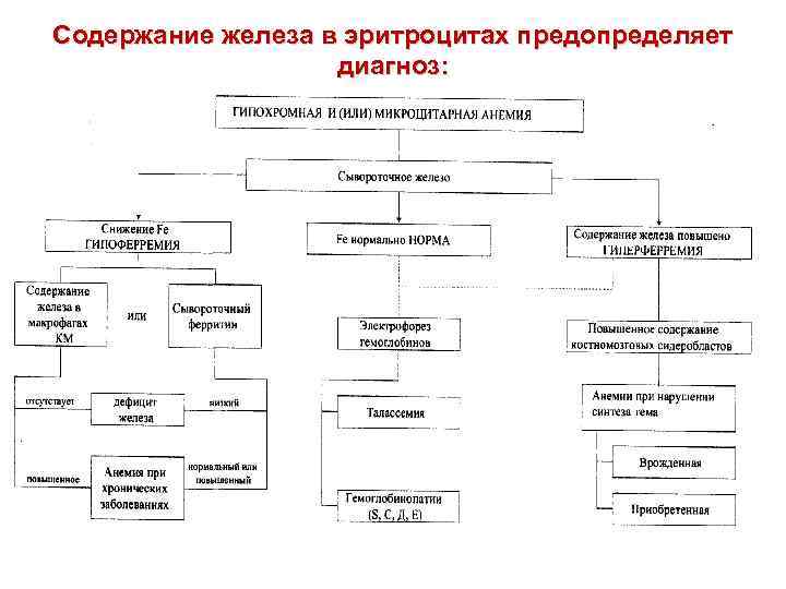Содержание железа в эритроцитах предопределяет диагноз: 