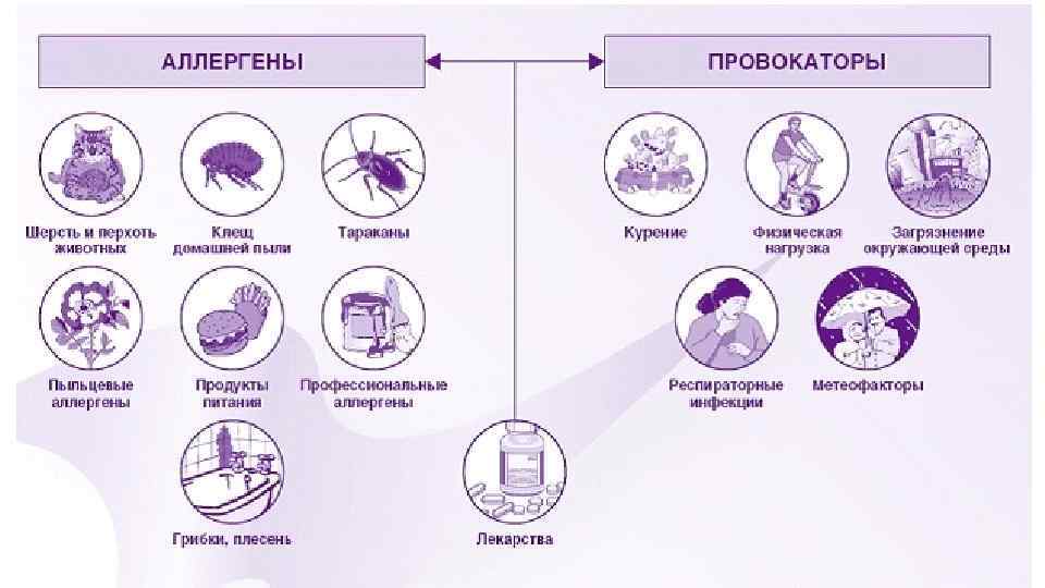 Триггеры астмы. Гипоаллергенный быт при бронхиальной астме у взрослых. Факторы вызывающие бронхиальную астму. Бронхиальная астма причины возникновения. Триггеры бронхиальной астмы.