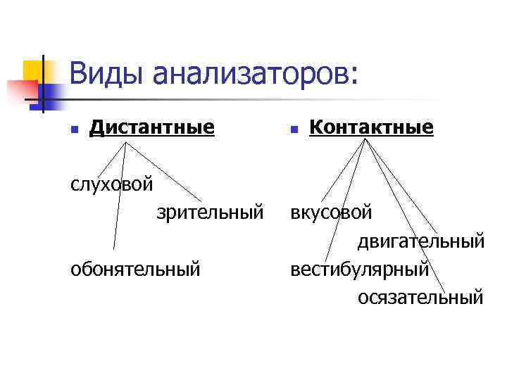 Виды анализаторов: n Дистантные n Контактные слуховой зрительный обонятельный вкусовой двигательный вестибулярный осязательный 