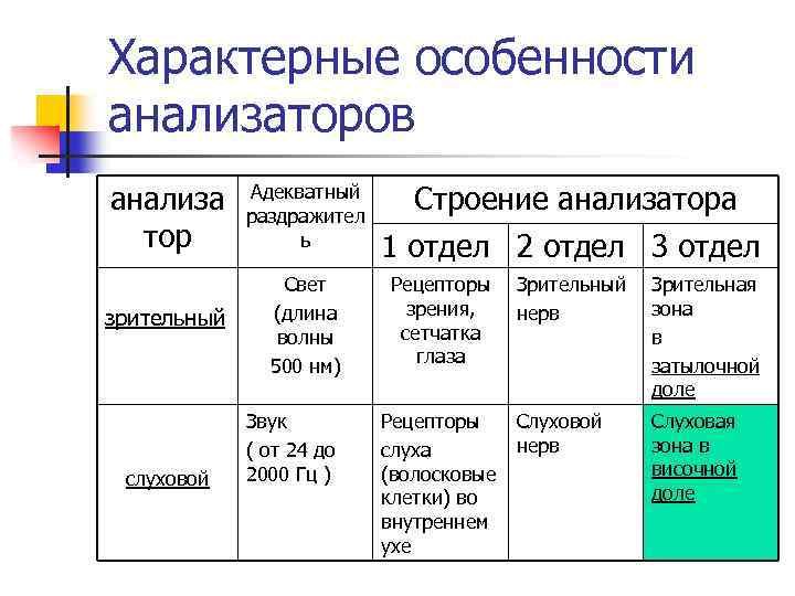 Характерные особенности анализаторов анализа тор Адекватный раздражител ь зрительный Свет (длина волны 500 нм)