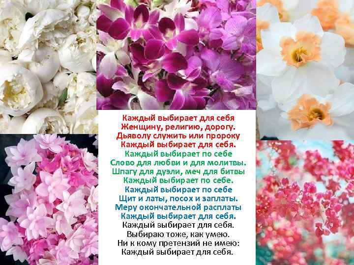 Каждый выбирает для себя Женщину, религию, дорогу. Дьяволу служить или пророку Каждый выбирает для