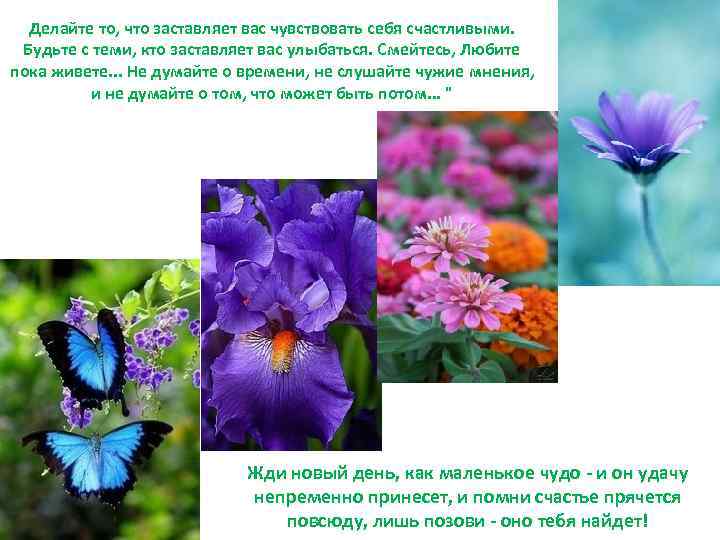 Делайте то, что заставляет вас чувствовать себя счастливыми. Будьте с теми, кто заставляет вас