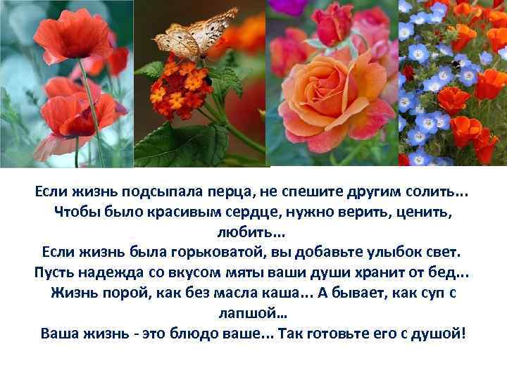 Если жизнь подсыпала перца, не спешите другим солить. . . Чтобы было красивым сердце,