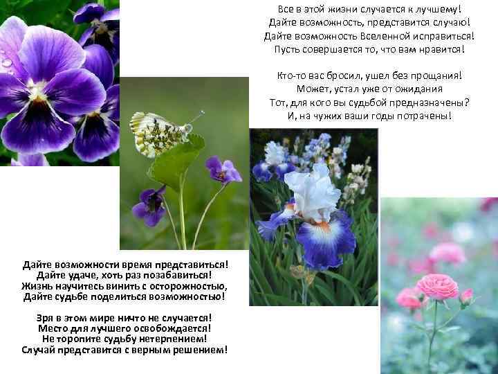 Все в этой жизни случается к лучшему! Дайте возможность, представится случаю! Дайте возможность Вселенной