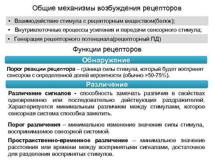 Механизм возбуждения. Общие механизмы возбуждения рецепторов. Порог возбуждения рецепторов. 4. Общие механизмы возбуждения рецепторов.. Механизмы возбуждения сенсорных рецепторов.